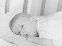 baby2