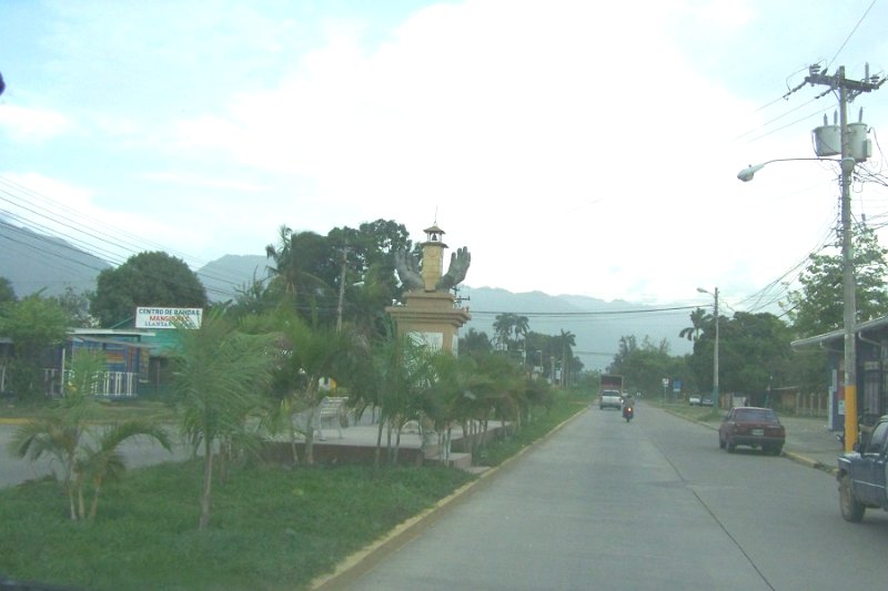 100_3453.JPG