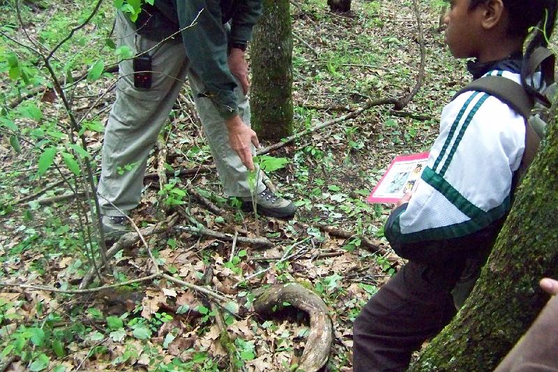 100_2257.JPG